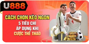 C&aacute;ch Chọn K&egrave;o Ngon - 5 Ti&ecirc;u Ch&iacute; &Aacute;p Dụng Khi Cược Thể Thao