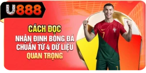 C&aacute;ch Đọc Nhận Định B&oacute;ng Đ&aacute; Chuẩn Từ 4 Dữ Liệu Quan Trọng