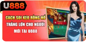 C&aacute;ch Soi K&egrave;o Rồng Hổ Thắng Lớn Cho Người Mới Tại U888