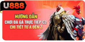 Hướng Dẫn Chơi Đ&aacute; G&agrave; Trực Tiếp C2 Chi Tiết Từ A Đến Z