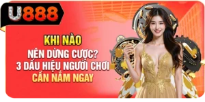 Khi N&agrave;o N&ecirc;n Dừng Cược? 3 Dấu Hiệu Người Chơi Cần Nắm Ngay