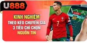 Kinh Nghiệm Theo K&egrave;o Chuy&ecirc;n Gia - 3 Ti&ecirc;u Ch&iacute; Chọn Nguồn Tin