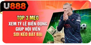 Top 3 Mẹo Xem Tỷ Lệ Biến Động Gi&uacute;p Hội Vi&ecirc;n Soi K&egrave;o Bất Bại